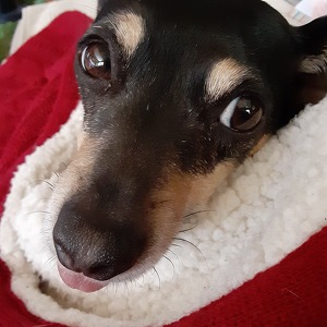 Fundraising Page: Jacqueline Adkins